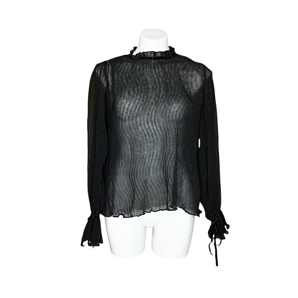 Jane Plus One Sheer Stretchy Blouse With Tied Sleeves